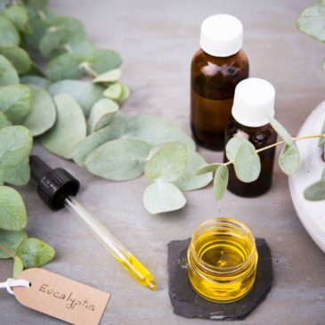 Best oils to use for massage